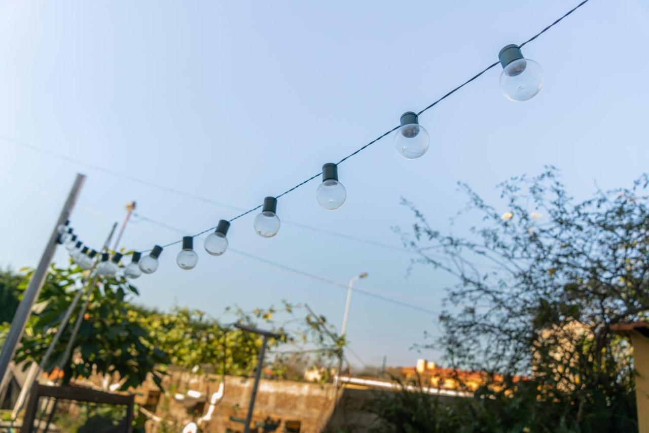 Growth House Bed & Breakfast Porto Eksteriør bilde