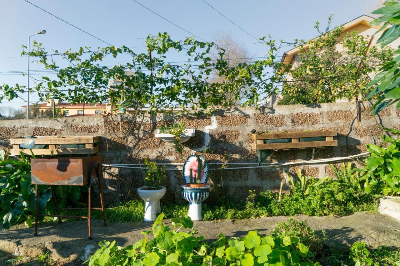 Growth House Bed & Breakfast Porto Eksteriør bilde